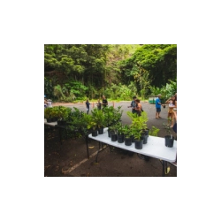 Waimea Valley